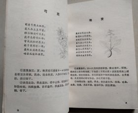 本草歌诀