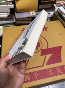 国运1909：清帝国的改革突围