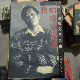 我的精神家园：王小波杂文自选集