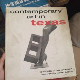 CONTEMPORARY ART IN TEXAS