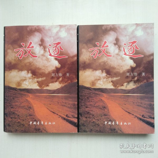 放逐(上下两册全，刘方炜 著，被迫沉睡的作品)