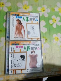 教你画人体速写 (上下)2VCD 人体绘画摄影技法