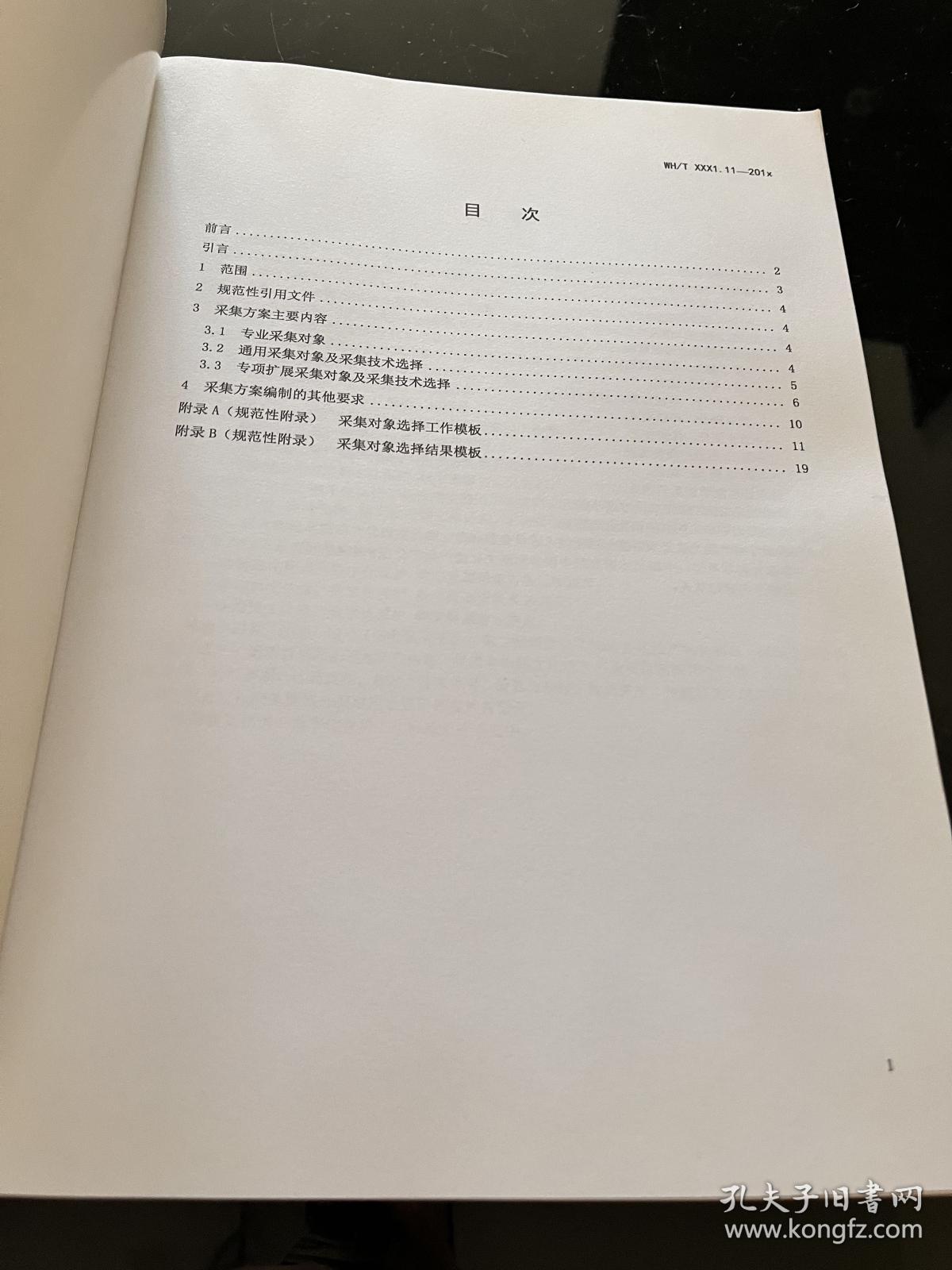 非物质文化遗产数字化保护数字资源采集方案编制规范第11部分:民俗