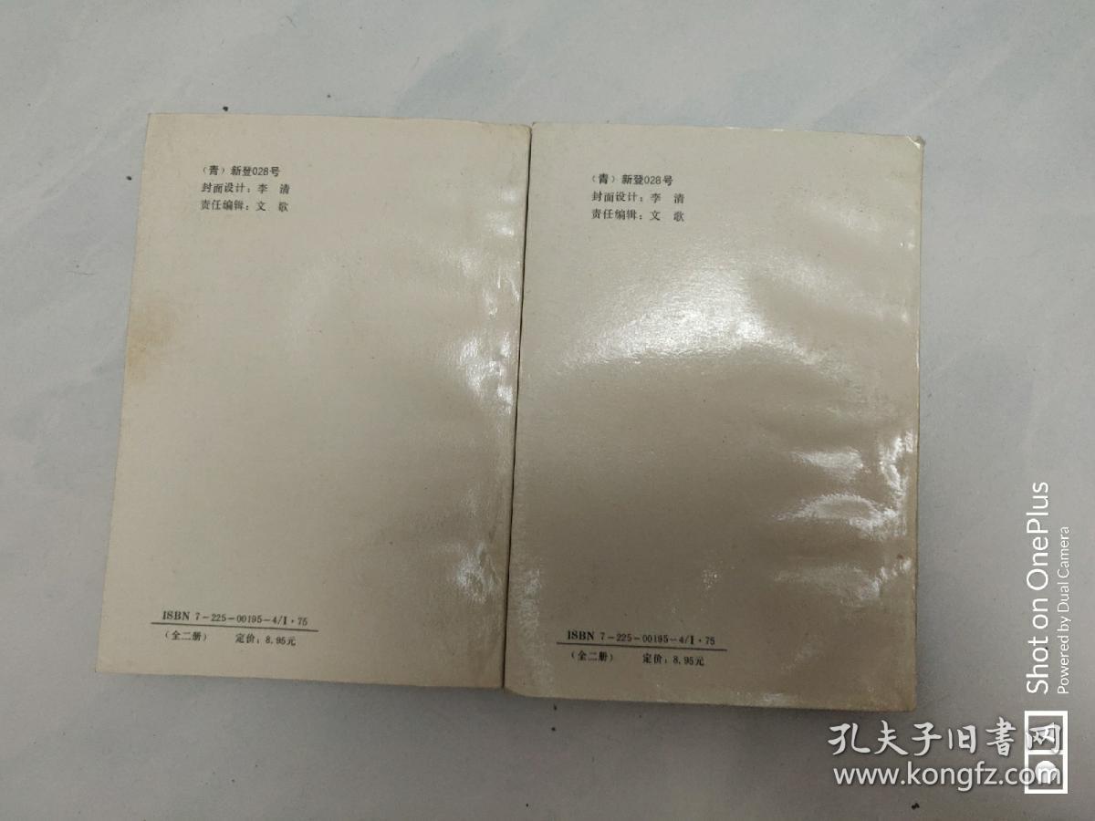 武侠库存旧小说 棒小子闯江湖 上下 一套