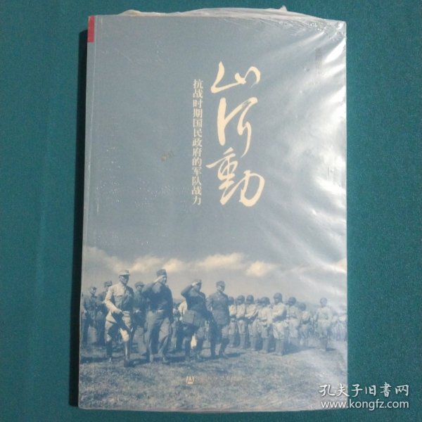 山河动：抗战时期国民政府的军队战力