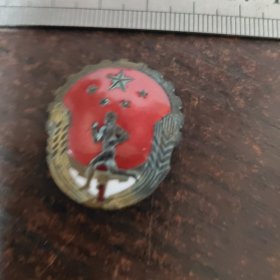 劳卫制证章：铜（大号）一级