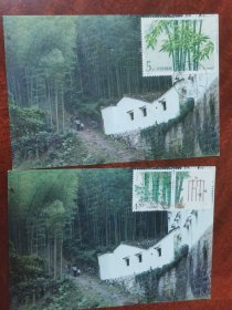 九华山佛学院旁边的竹林，自制极限片两种