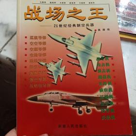 战场之王:21世纪经典制空兵器