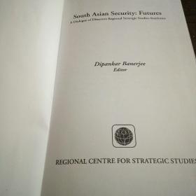 South Asian security : futures : a dialogue of directors regional strategic studies institutes 南亚安全之未来——区域战略研究所主任对话