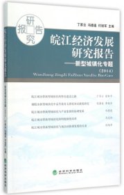 2014-皖江經(jīng)濟(jì)發(fā)展研究報告-新型城鎮(zhèn)化專題