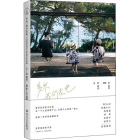 正版新书现货 多米 我们走吧 9787541152108 林硠涯