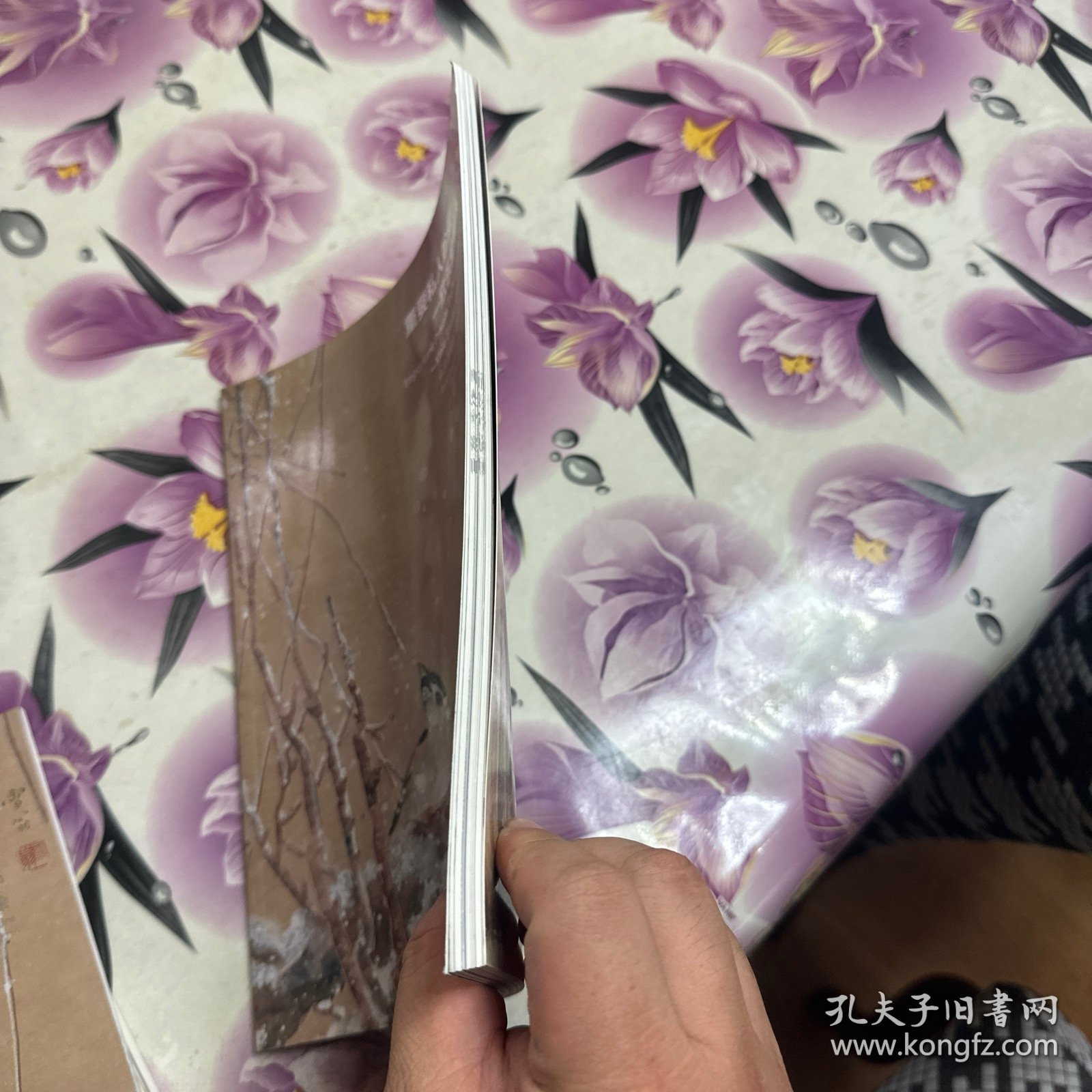 中国嘉德2014春季拍卖会：重要私人珍藏（二）—欣乐堂藏画