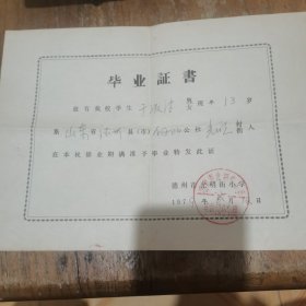 1979年德州市光明街小学毕业证书