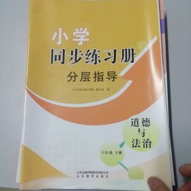 小学同步练习册分层指导道德与法治六年级下册