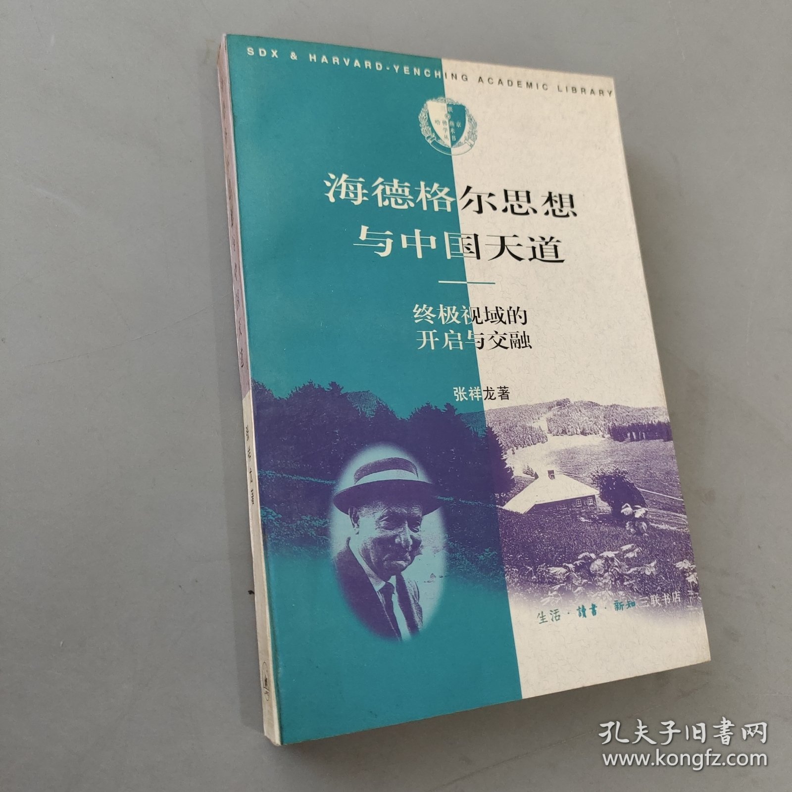 海德格尔思想与中国天道：终级视域的开启与交融