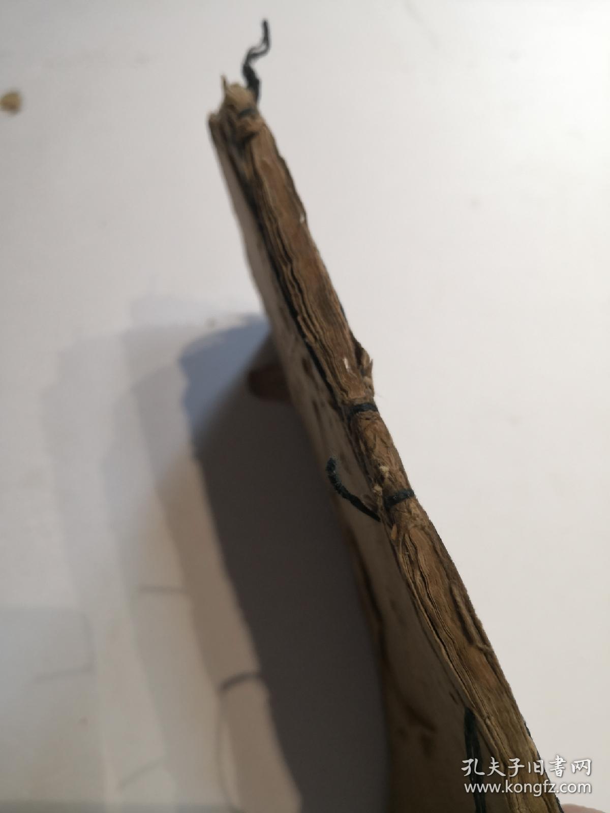 宜阳三金五苦科～csy