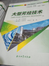 大型芳烃技术/中国石油炼油化工技术丛书