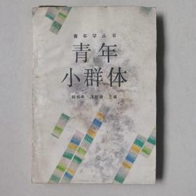 青年小群体