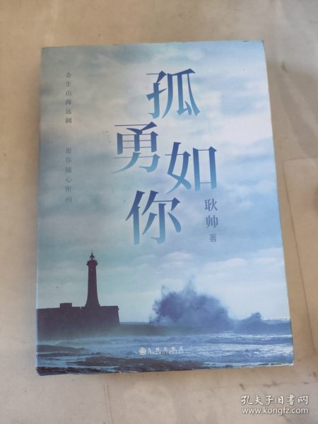 孤勇如你耿帅全新力作（书内附赠限量珍藏人生锦囊卡-四款随机赠送×精美书签）