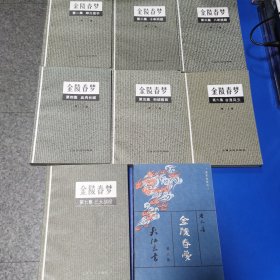 金陵春梦 全八集