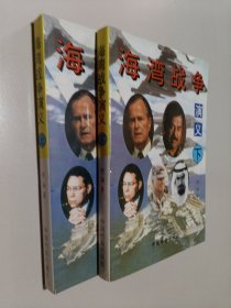 海湾战争演义（上下册）