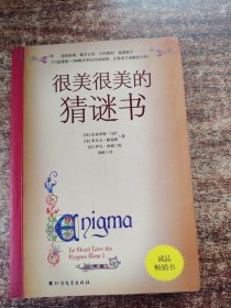 很美很美的猜谜书(升级版)：巴黎彩绘解谜手册！激发孩子数学兴趣入门书！172道谜题+200幅中世纪风格插画，精雕细琢的图腾，全书充满故事性与神秘感