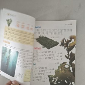 我的第一套百科全书：植物世界