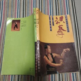 广东南拳名家套路 洪拳 侠拳