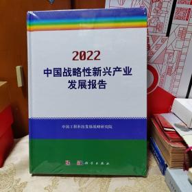 2022中国战略性新兴产业发展报告