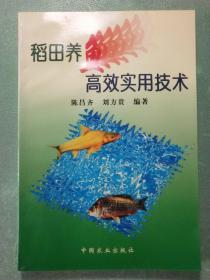 稻田养高效实用技术   1版1印