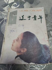 辽宁青年1993.6