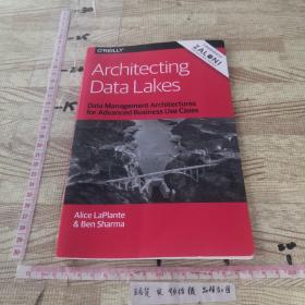 Architecting Data Lakes 构建数据湖