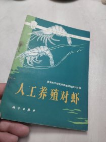 人工养殖对虾