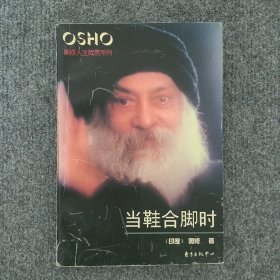 当鞋合脚时：奥修人生箴言系列