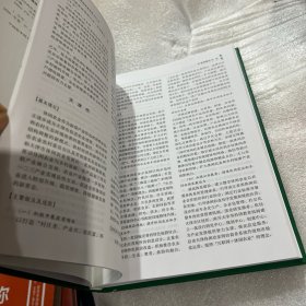 中国休闲农业年鉴(2020)(精)