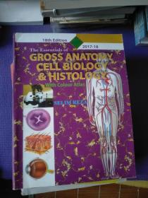 GROSSANATOMYCELLBIOLOGY&HISTOLOGY大体解剖学组织学生物学彩色地图册