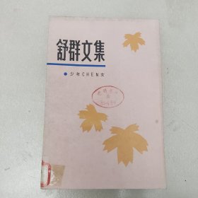 舒群文集2 一版一印