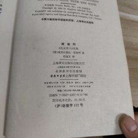 斯佳丽乱世佳人续集