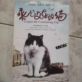 乘公交车的猫