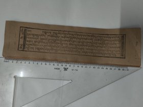 藏文文献（十二张合售）32×8.5cm