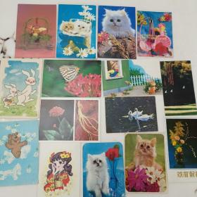 花卉动物卡片（15张）