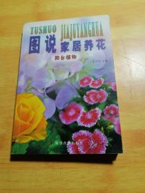 图说家居养花：阳台植物