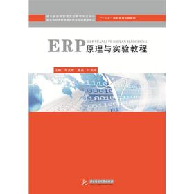 ERP原理与实验教程