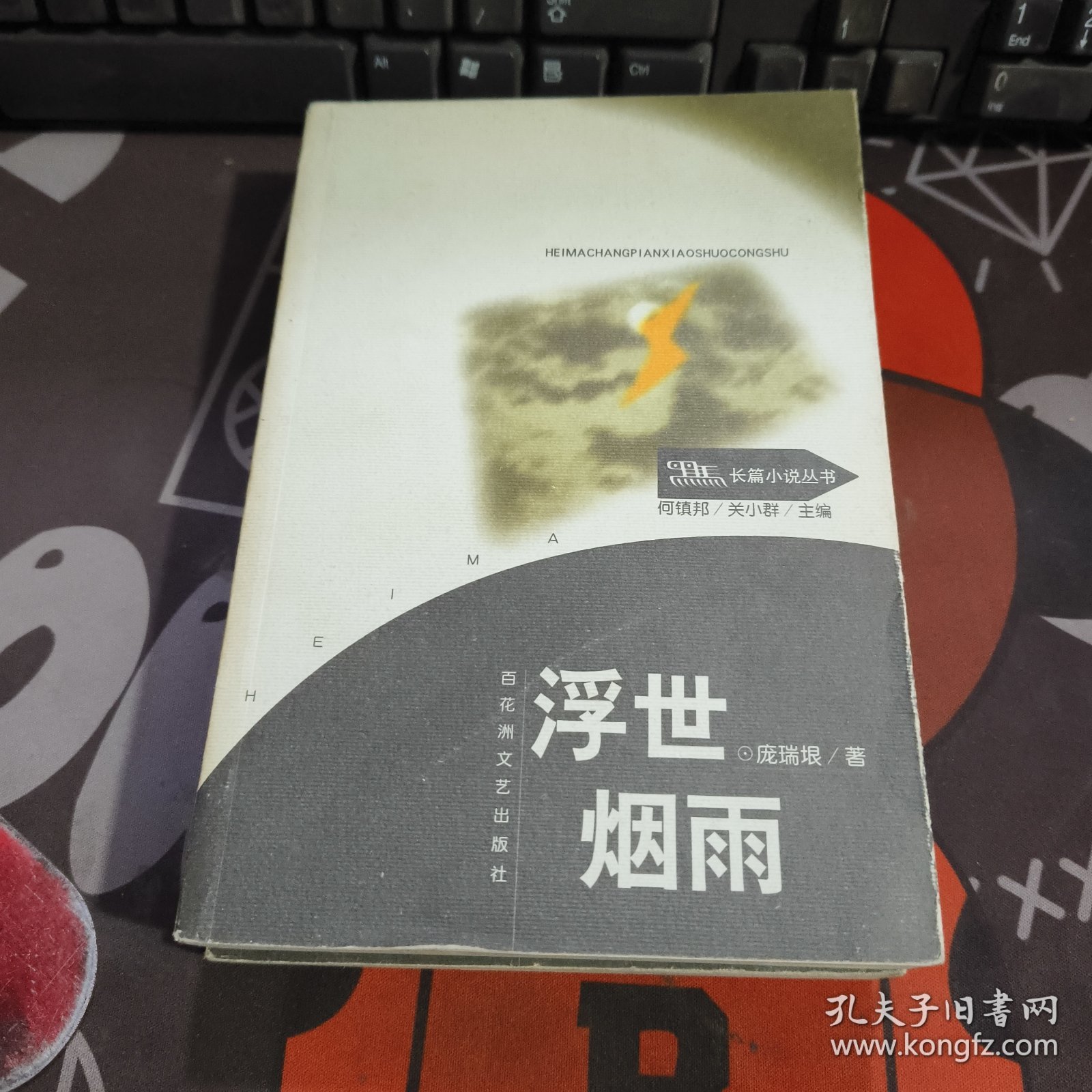 浮世烟雨.黑马长篇小说丛书（2000年一版一印仅3000册）