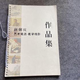 唐朝庆艺术简历教学缩影作品集