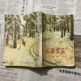 文学历史类书籍：林海雪原，32开，