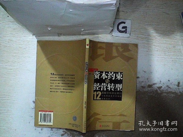 资本约束与经营转型(12家股份制商业银行)