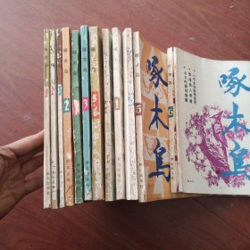 文学双月刊(啄木鸟)1984年（1到6）1985年（1到6＋特辑缺4）1986年（1到6）