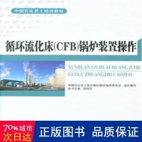 循环流化床（CFB）锅炉装置操作