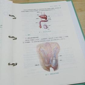 新形态活页教材乐学解剖